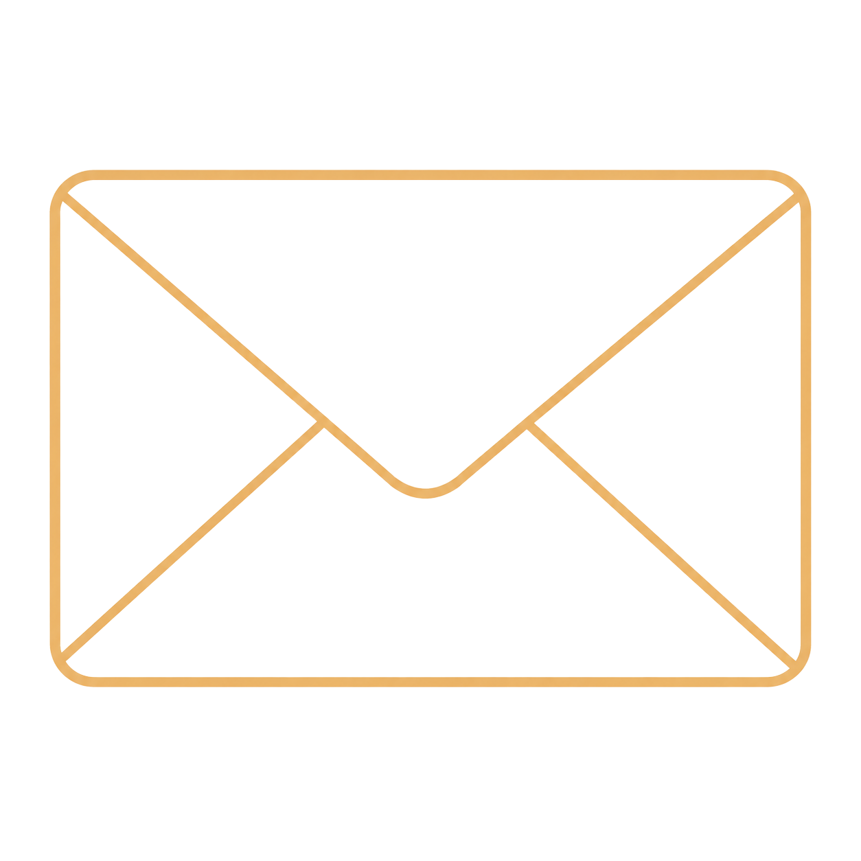 Address & Mail Service Icon
